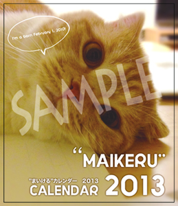 2013_maikeru_sample01.jpg